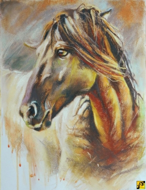 mustang