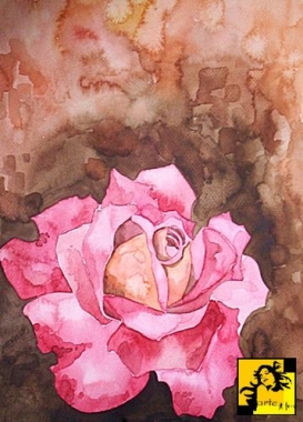 Rosea