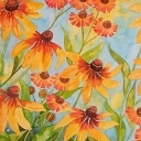 Rudbekie