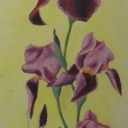 Stara Papeteria