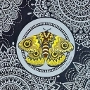 Moth