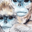 Together